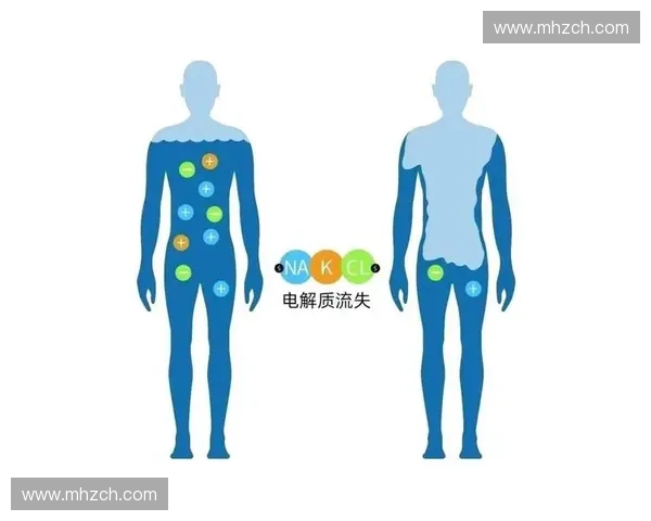 电解质补给对运动表现与身体恢复的全面影响解析